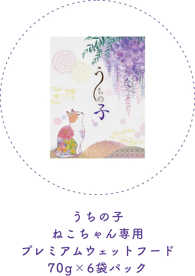 うちの子 ねこちゃん専用 プレミアムウェットフード 70g×6袋パック