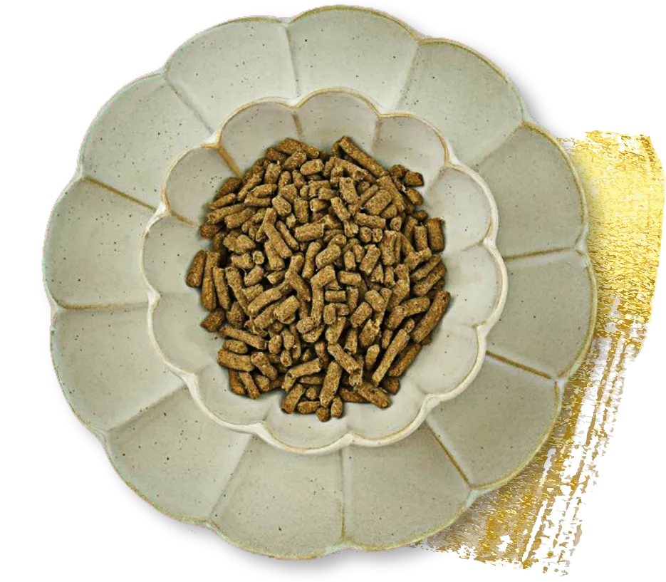 国産新鮮無添加